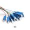 SC UPC FC LC SM G652D G657A Kabel krosowy Pigtail SC 12-rdzeniowy kabel światłowodowy
